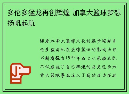 多伦多猛龙再创辉煌 加拿大篮球梦想扬帆起航